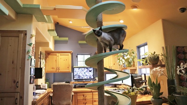 This home takes pet-friendly design to a whole new level