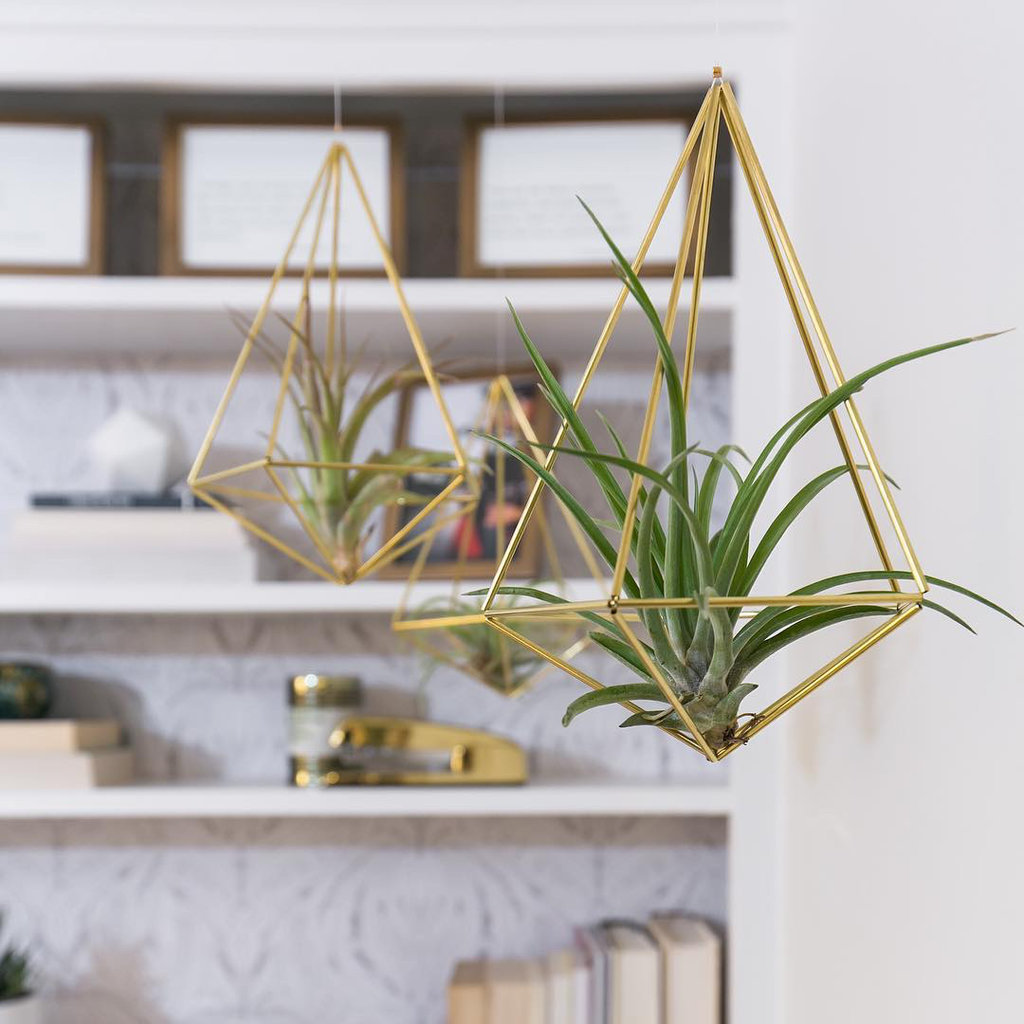 Links we love: Natural instincts