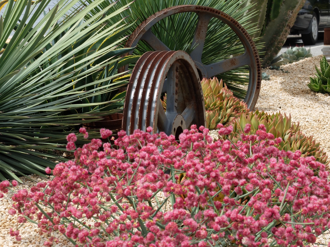 The secret gardens of SFO (yes, the airport), part 2