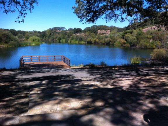 A New Taste of an Old Sonoma Vineyard