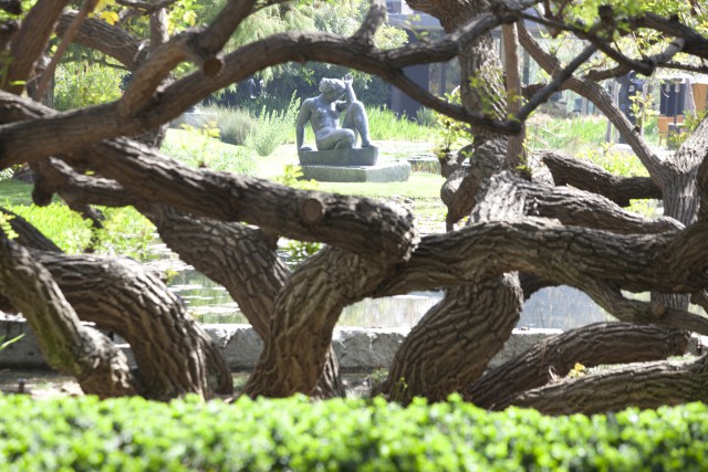 You knew this museum was amazing, but what about its garden?