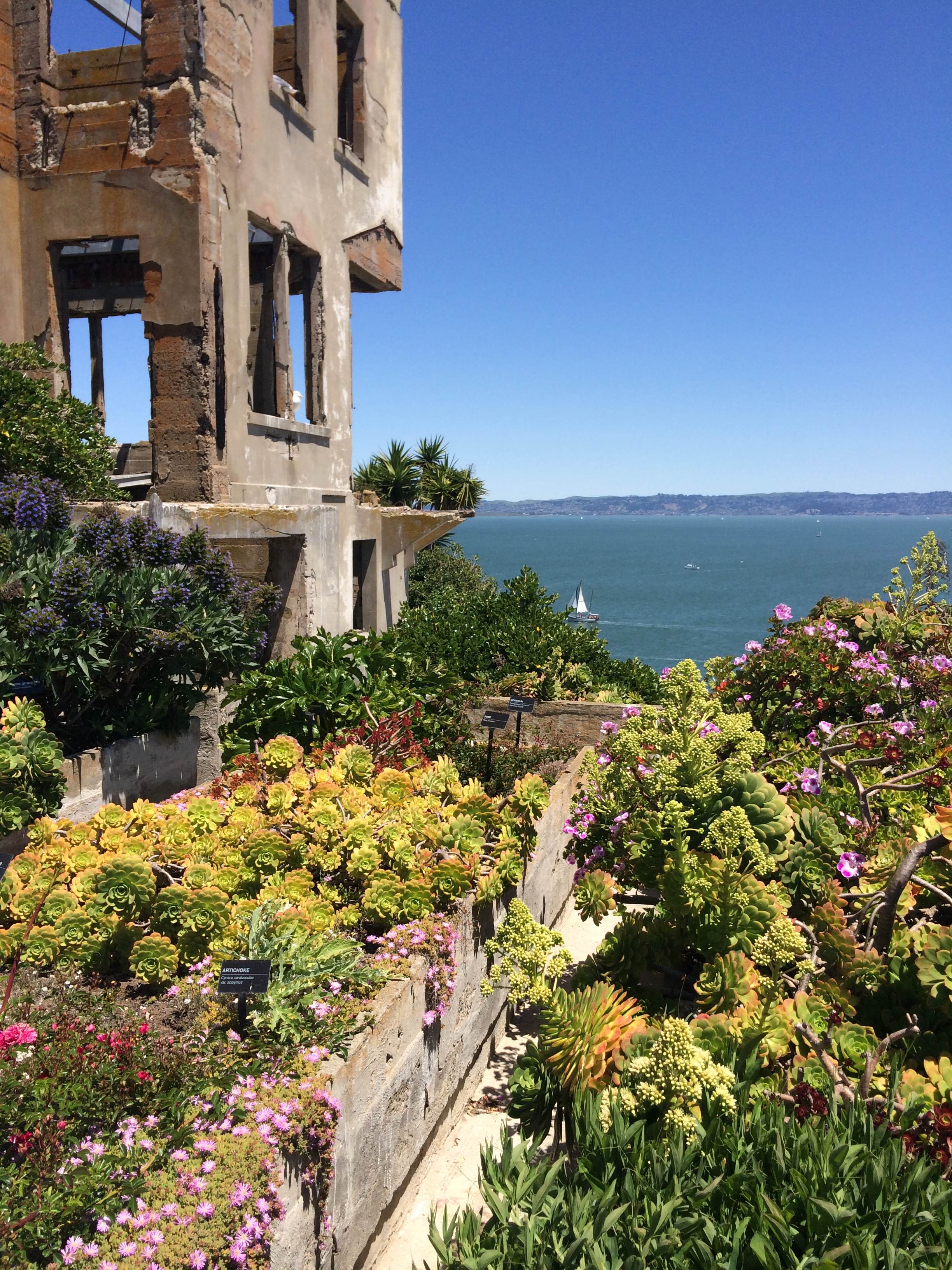 Go Now! This Week’s Your Last Chance to See Modern Art at Alcatraz