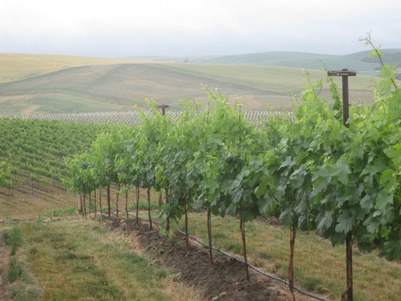 Affordable Drinking in Eastern Washington Gets Better
