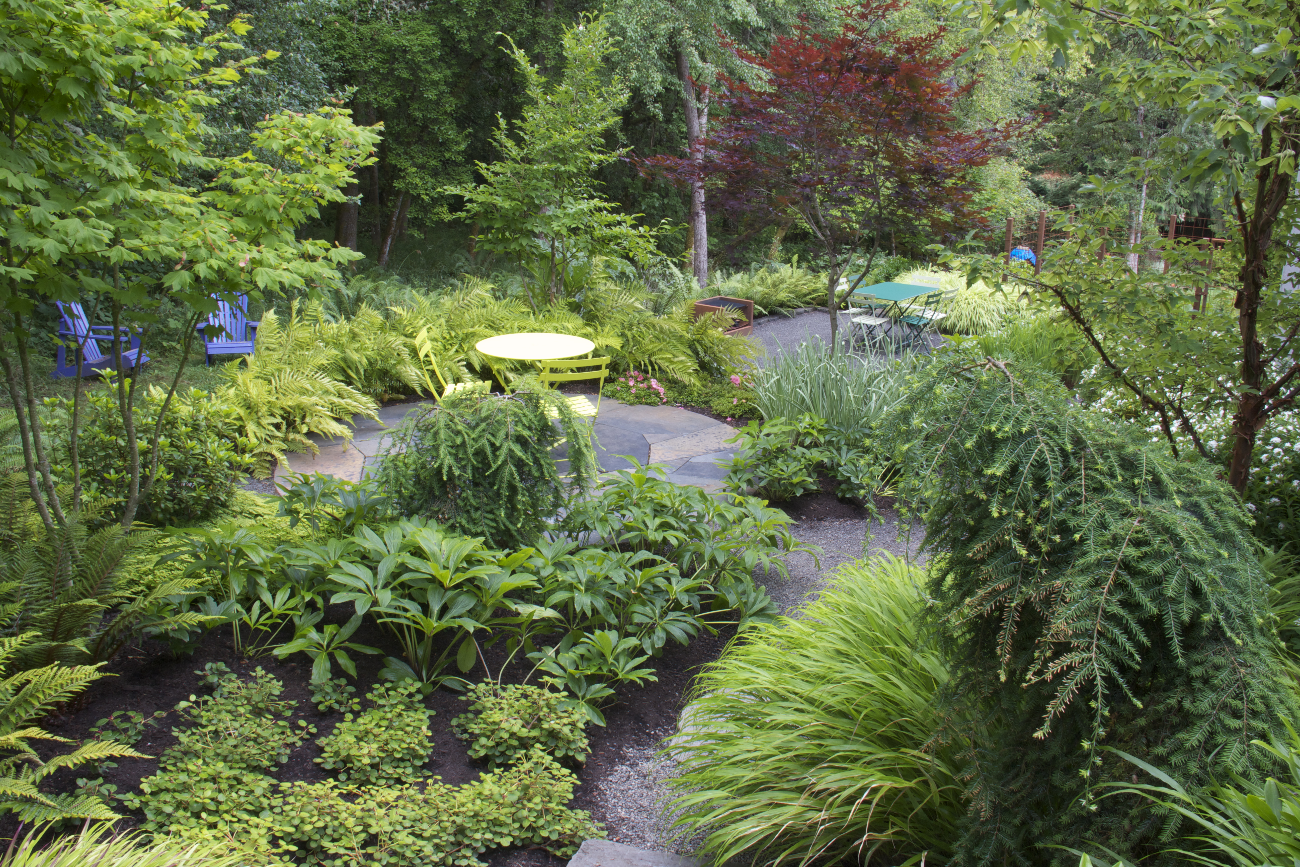 How to create a beautiful hillside garden