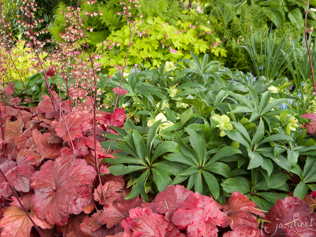 Planting Ideas: Spring Fever