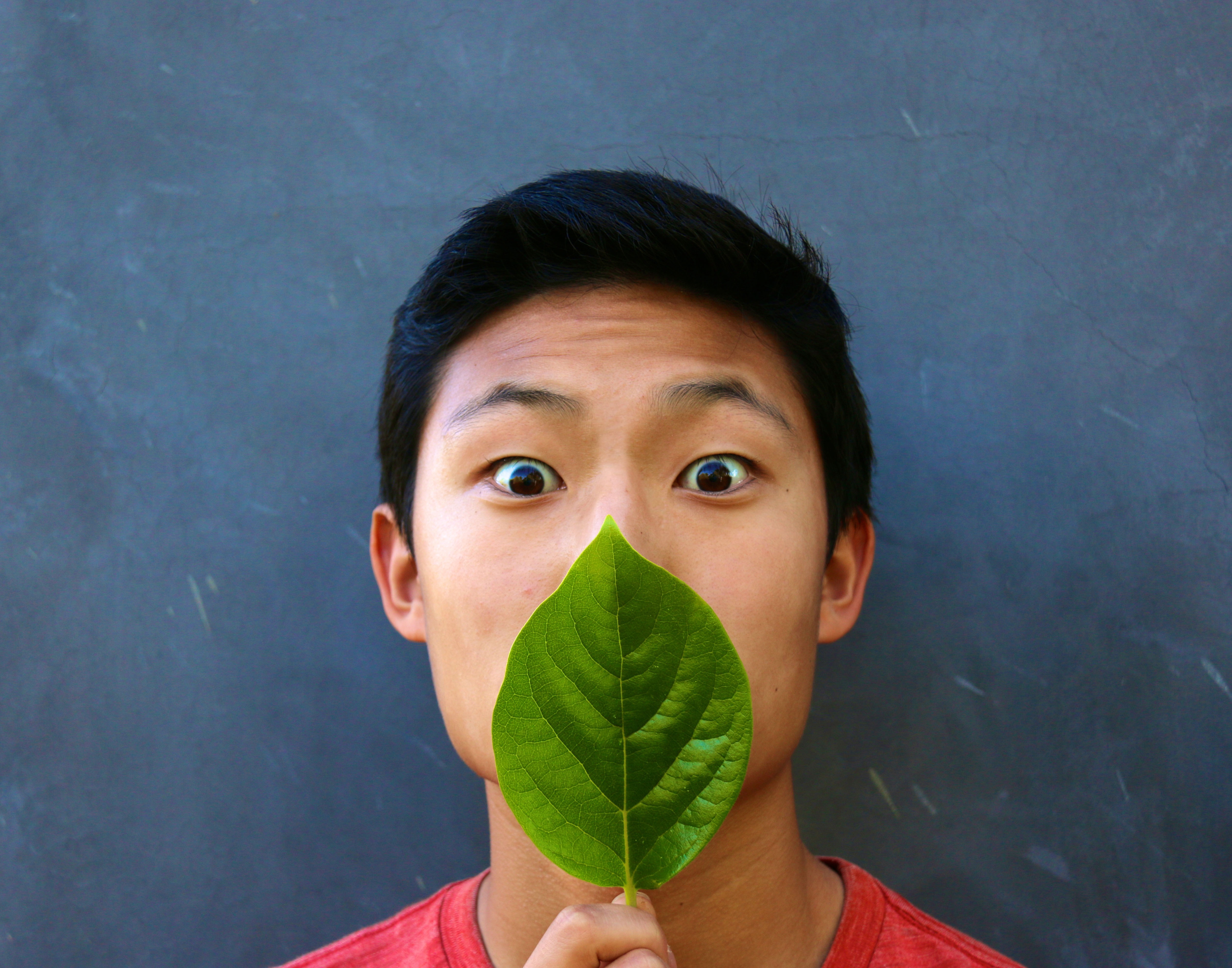 Confessions of a high school phytophile