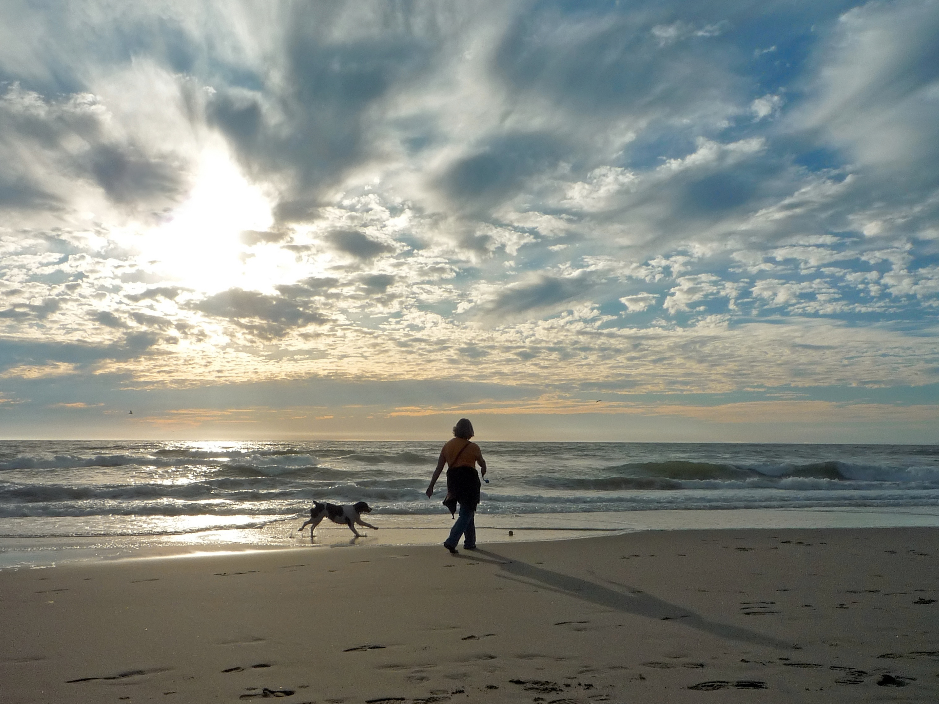 10 Dog-Friendly Trails Near San Francisco