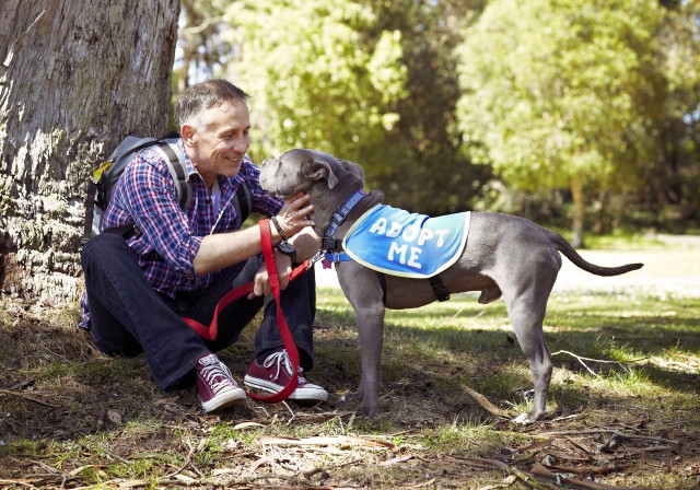 Go on a doggy playdate with Dogo, a Bay Area program
