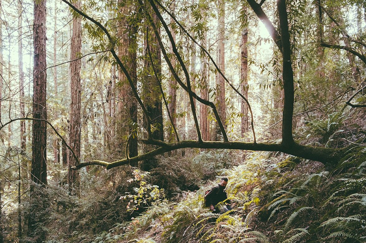 Sneak Peek: #TheNatureCure story preview