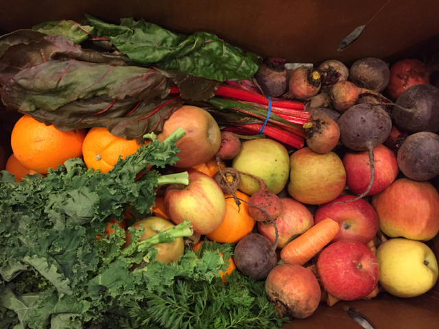 Eat Fresh, Day 5: A balanced blend is key to juicing (no liquid compost, please)