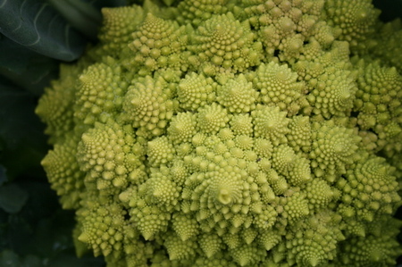 A most impatient gardener — update