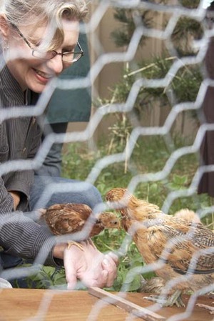 The chicks go outdoors