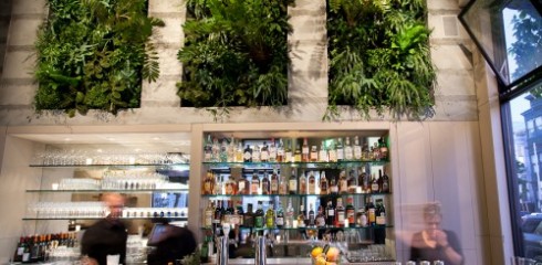 The Living Wall Extraordinaire