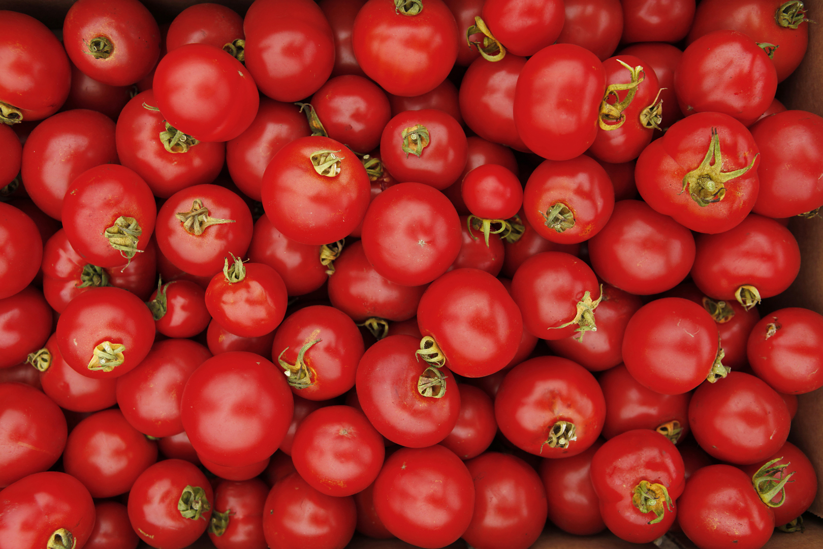 Drought-Stressed Crops May Be Better For You