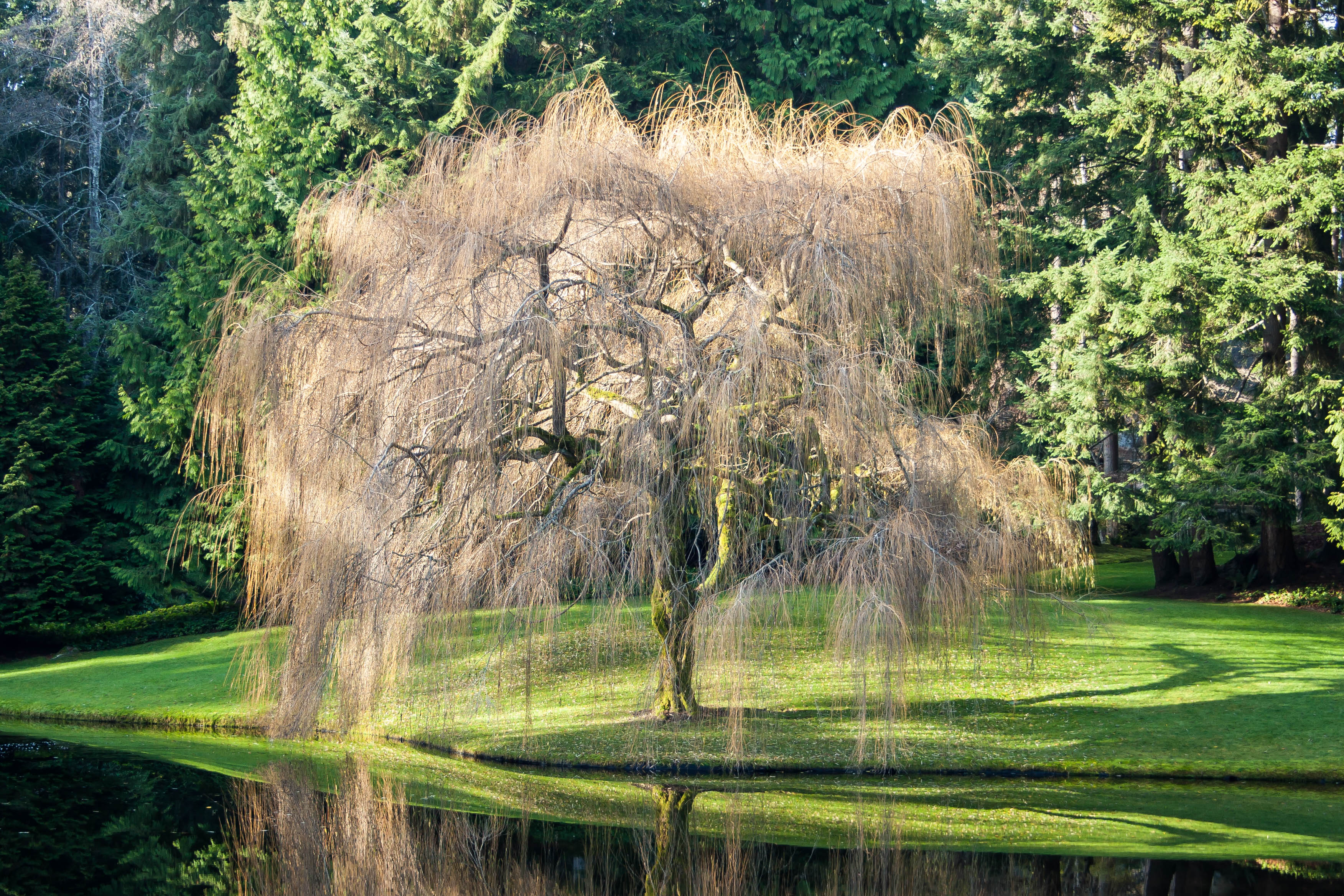 Garden walks that heal the mind and body