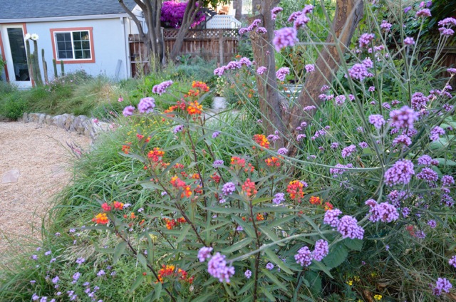 4 ways to keep your soil well-hydrated during the drought