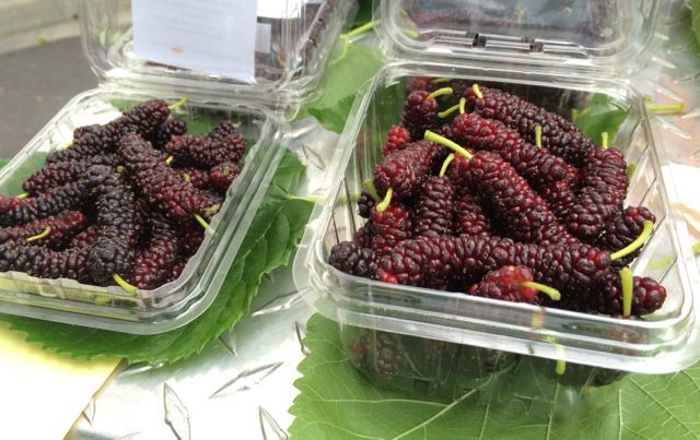 Farmers’ market find: mulberries