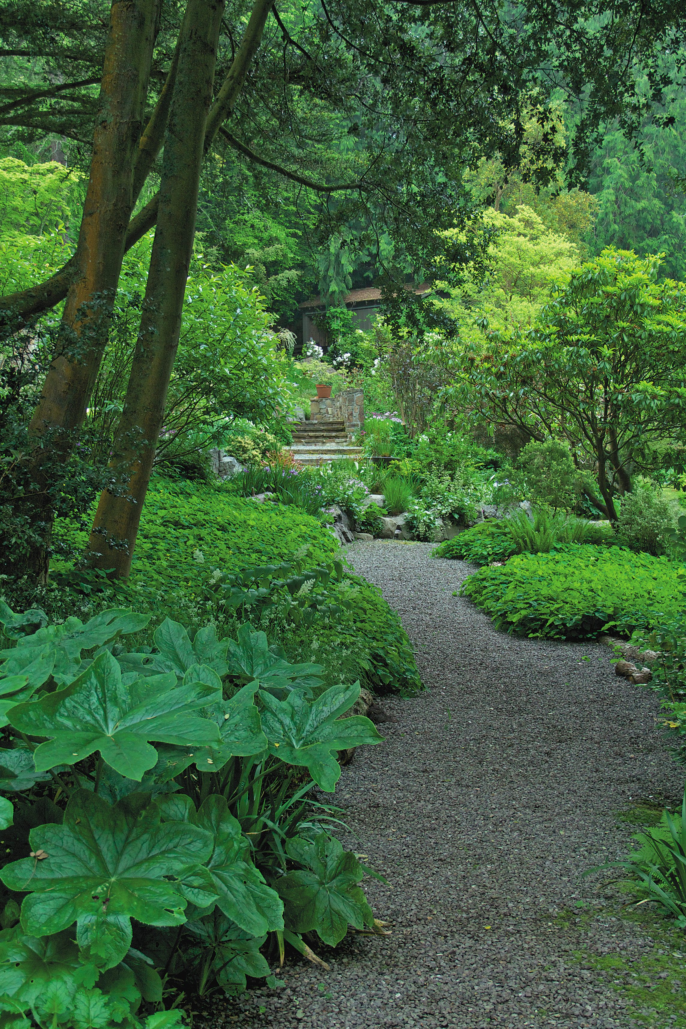 Cool the planet: create shade