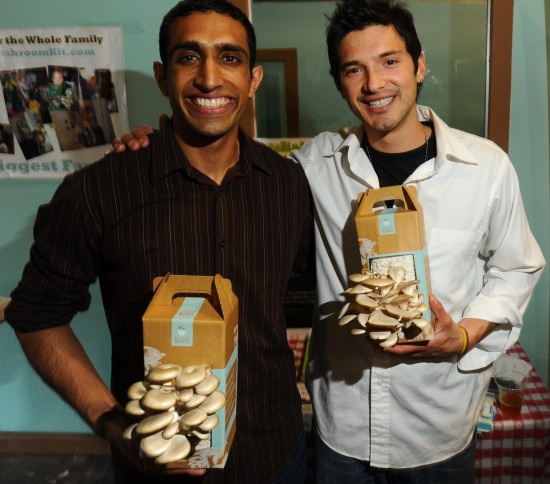 Go Fish: Catch the Next Wave in Gardening