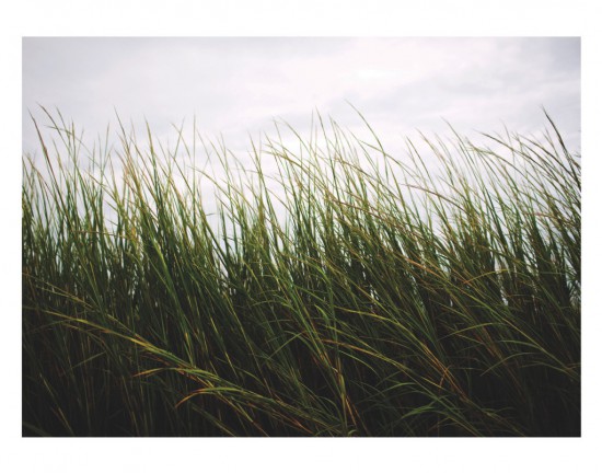 Affordable Art for the Nature-Lover