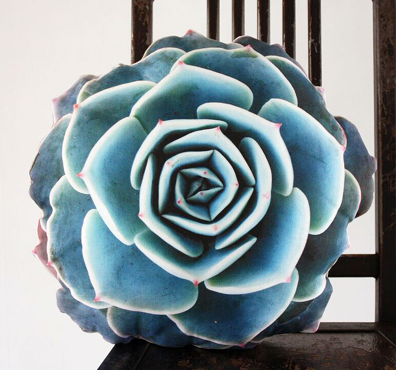 25 days of giveaways: Potted’s succulent pillow