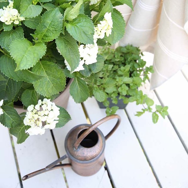 Perfect summer parties