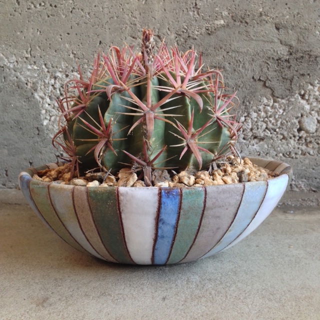 Modern Garden Gift Ideas