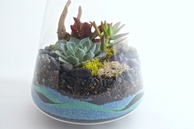 How to Make a Sand Terrarium