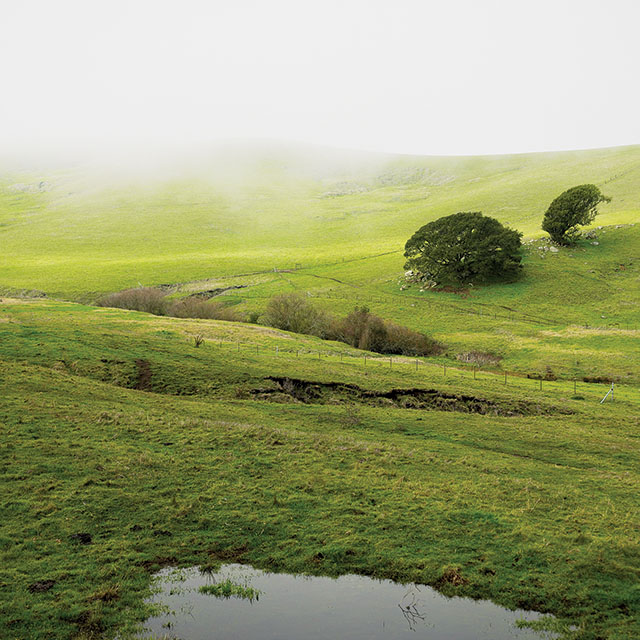 Now a 95% chance for a rainy winter
