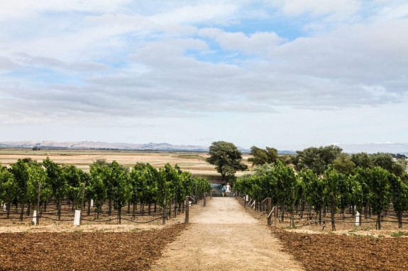Wine Tasting a Different Way