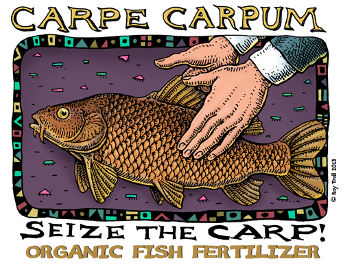 The best organic fertilizer (it's made from fish)