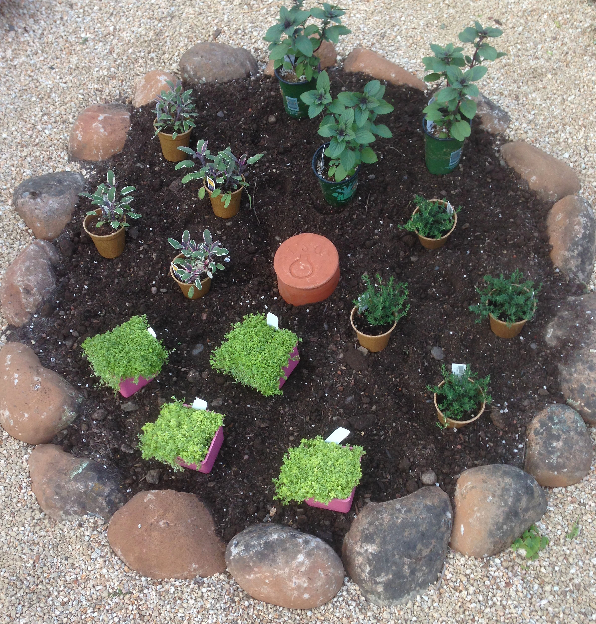 How to use an olla to water your garden