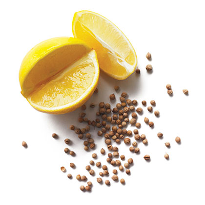 su-Mediterranean Coriander Seasoning Rub