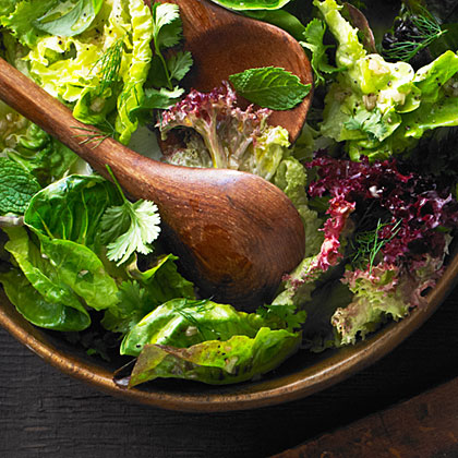 su-Little Lettuces with Herbs su-Little Lettuces with Herbs
