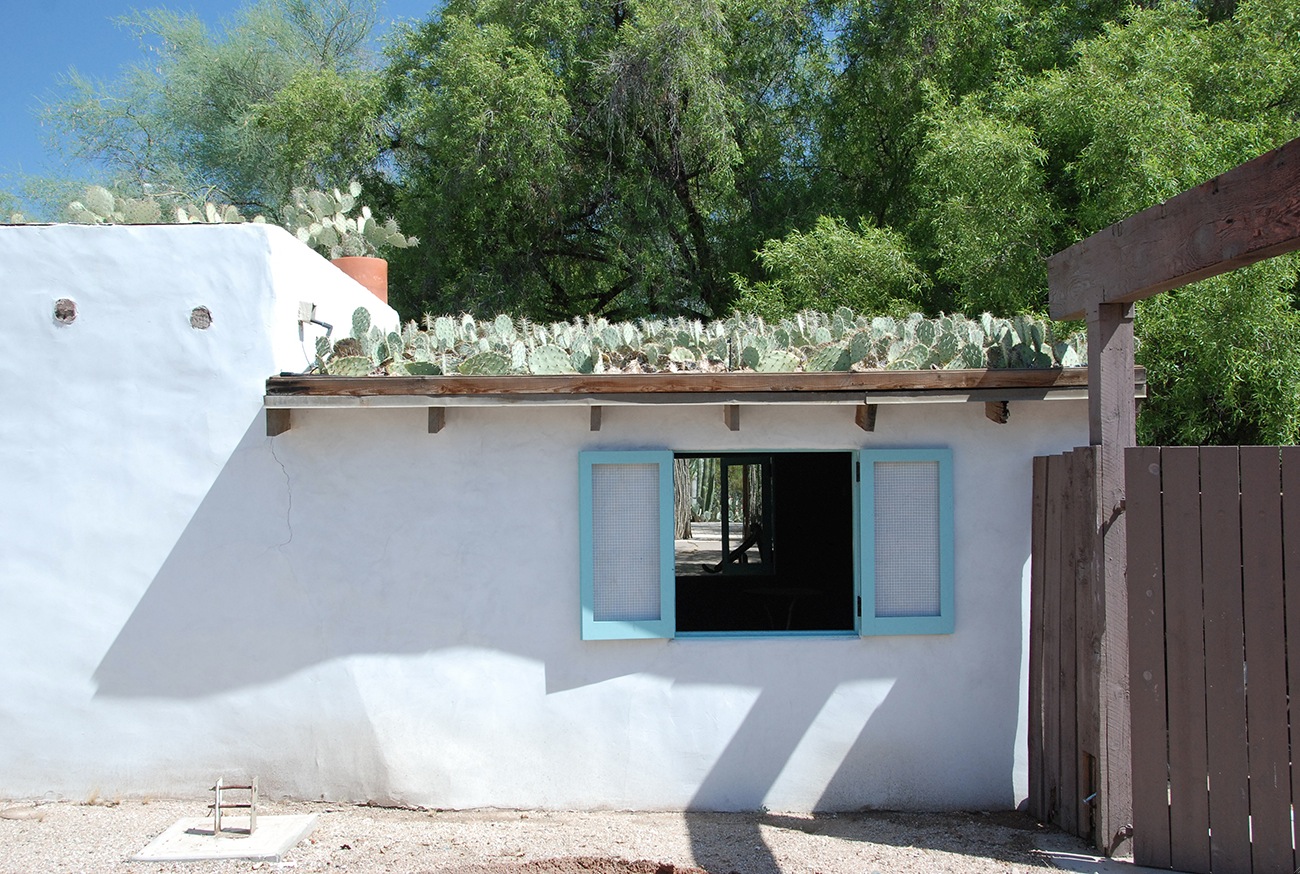 A Roof Made from Cactus Pads