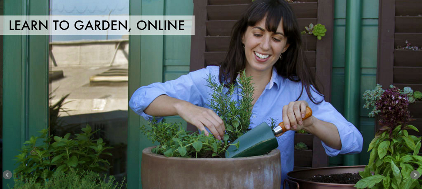 Discount: Save 10% on Edible Container Gardening Class