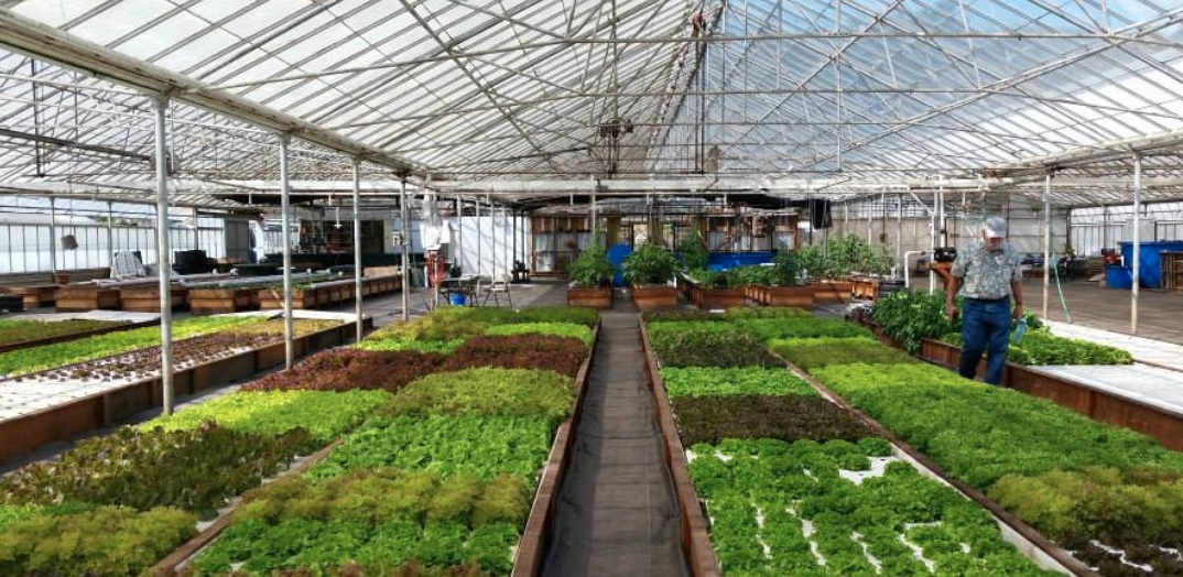 Can we grow crops using 90% less water?