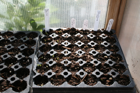 Starting from Seed