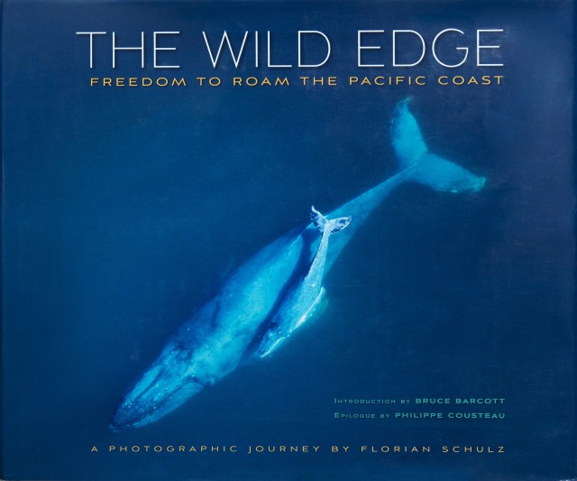 Once again, it’s time for “Ask a Bookseller”!