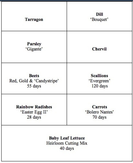 Spring garden plan