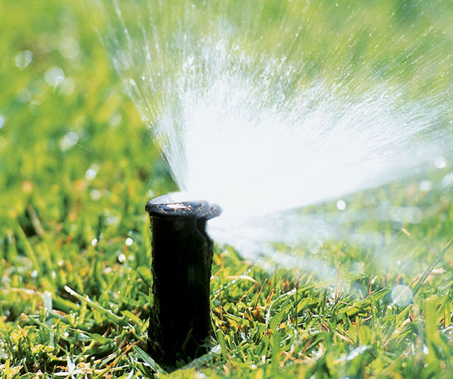 11 Ways to Cut Back on Water Consumption in Your Garden