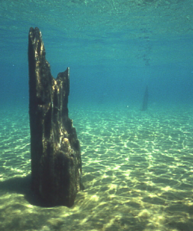 Our drought: How bad is it? What’s next?