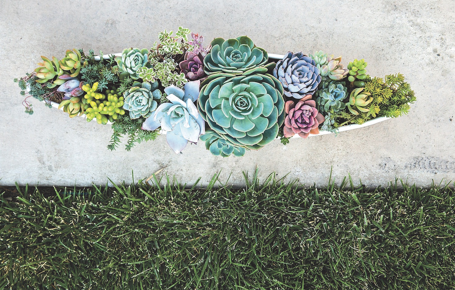 Weekend DIY: Succulent Container