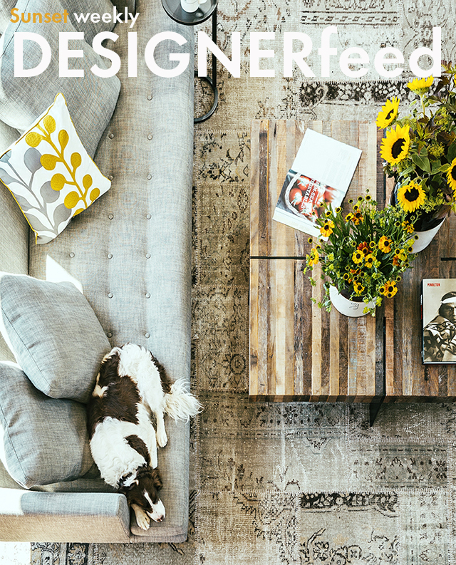 Designer feed: an insane garage, cool chairs, and sneak peeks