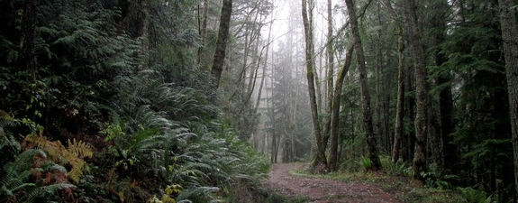 Inside San Francisco’s Hidden Gems