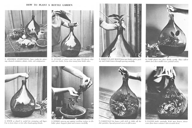 Sunset’s First Drought-Friendly Gardens: ’70s Terrariums