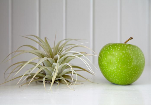 6 Stories We’re Loving This Week