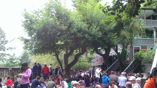 A Hidden Oasis in Muir Woods