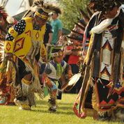 Free plants for all!