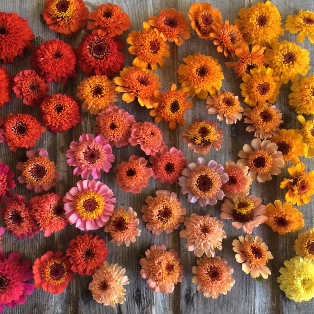 5 Florists to Follow on Instagram